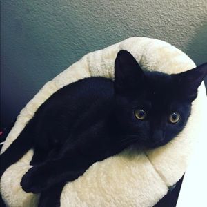 Meet your Posher, Haley